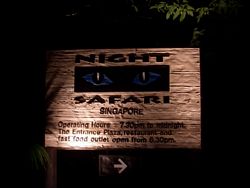 Night Safari
